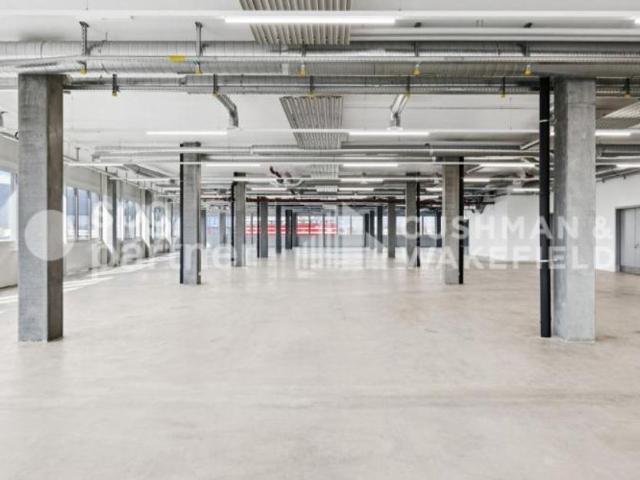 Office space for rent in Vernier 500 m² | dreamo. Ch