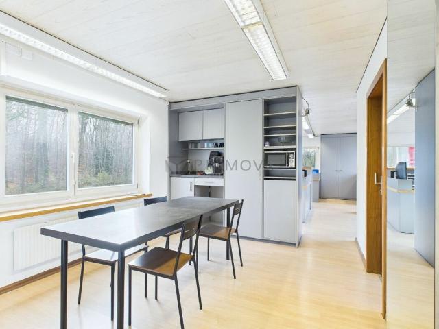 Office space with 8 rooms on sale in Birsfelden 320 m² | dreamo. Ch