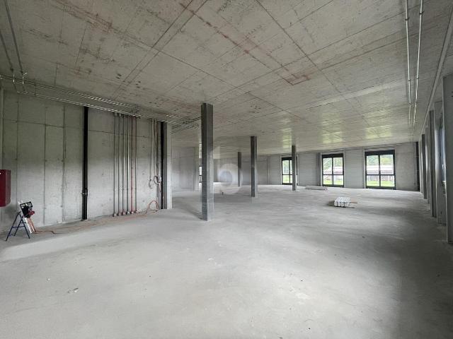 Office space with 1 room for rent in Oberbüren 166 m² | dreamo. Ch