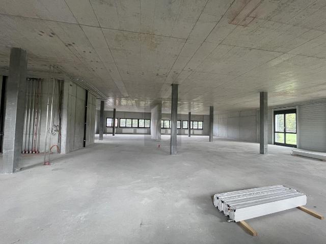 Office space with 1 room for rent in Oberbüren 100 m² | dreamo. Ch
