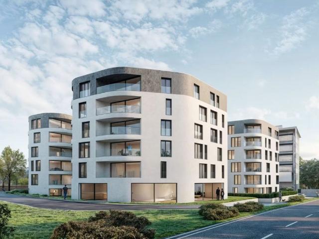 Office space with 1 room for rent in Massagno 288 m² | dreamo. Ch