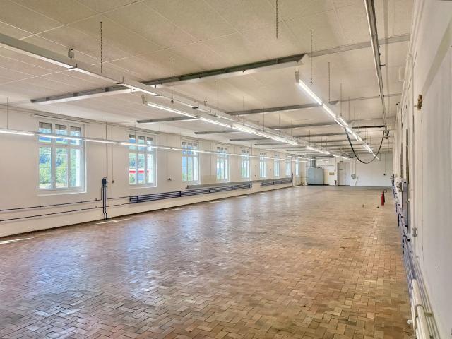 Office space with 1 room for rent in Pfungen 710 m² | dreamo. Ch