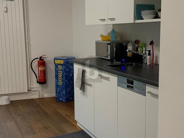 Office with 4 rooms for rent in Basel Ref 36737 | dreamo. Ch