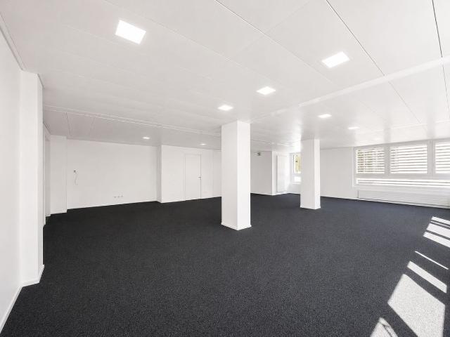 Office with 4.5 rooms for rent in Ascona 210 m² | dreamo. Ch