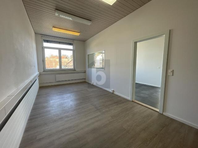 Office with 5 rooms for rent in Wangen an der Aare 100 m² | dreamo. Ch