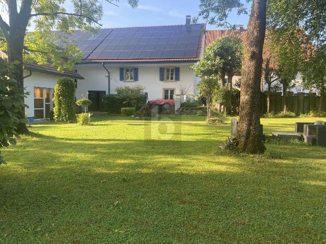 Office with 5.5 rooms for rent in Effingen 144 m² | dreamo. Ch