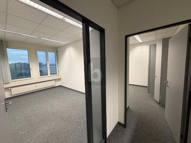 Office with 7 rooms for rent in Rotkreuz 230 m² | dreamo. Ch
