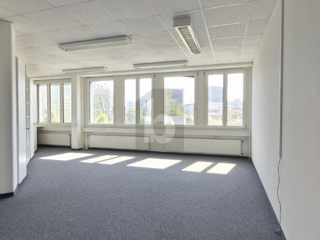 Office with 9 rooms for rent in Schlieren 410 m² | dreamo. Ch