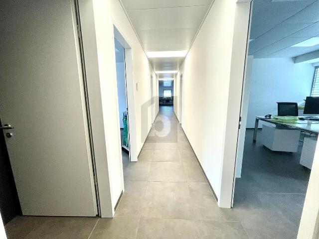 Office with 1 room for rent in Camorino Ref 35842 | dreamo. Ch