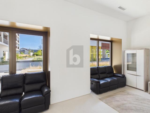 Office with 1 room for rent in Aesch BL 61 m² | dreamo. Ch