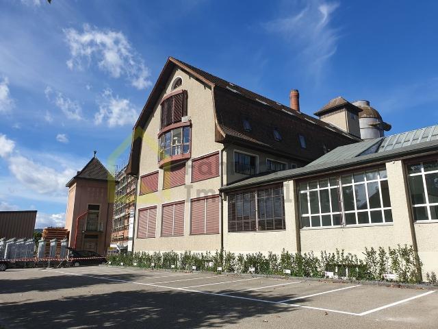 Office with 1 room for rent in Niedergösgen 100 m² | dreamo. Ch