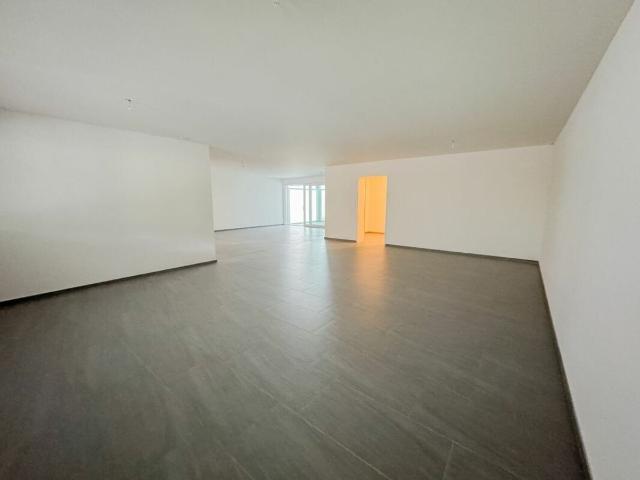 Office with 1 room for rent in Seengen Ref 35927 | dreamo. Ch