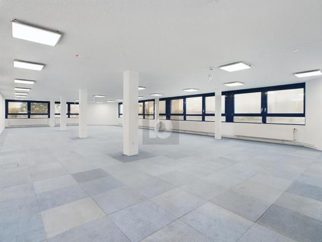 Office with 1 room for rent in Zuchwil 200 m² | dreamo. Ch