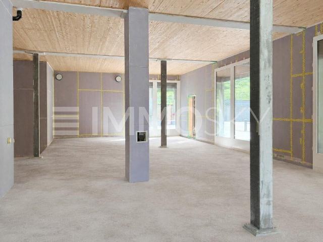 Office with 1 room on sale in Ibach 207 m² | dreamo. Ch