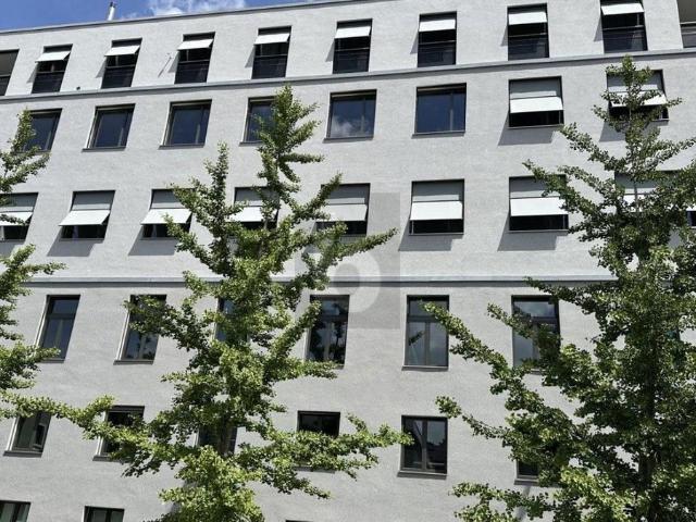 Office with 3 rooms for rent in Wetzikon ZH 182 m² | dreamo. Ch