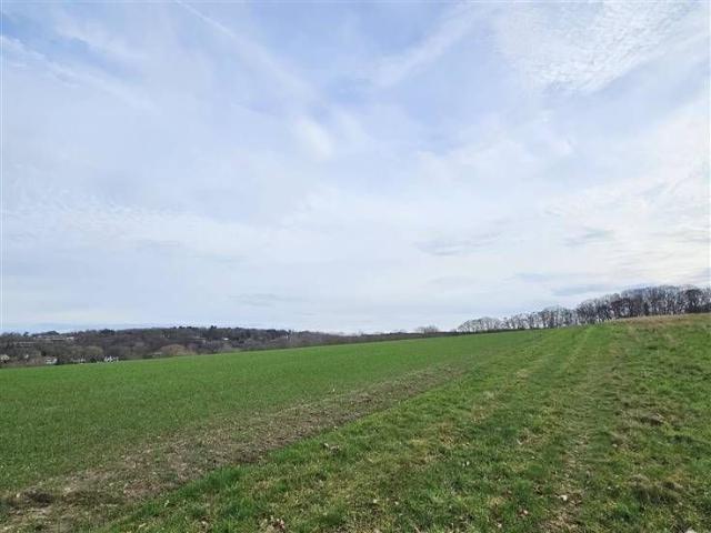 Offre exclusive: Terrain agricole à vendre à Dworp