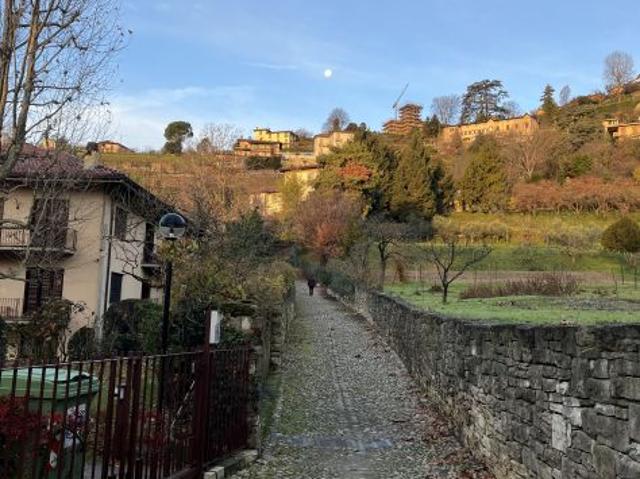 Offro 3 camere in affitto