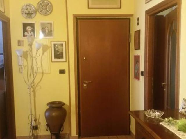 offro camera per studenti zona politecnico