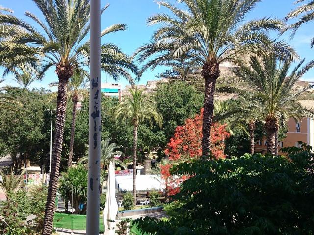 Oficina, Mercado, Alicante / Alacant