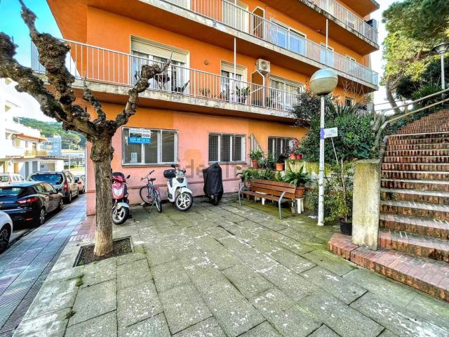 Oficina, Blanes