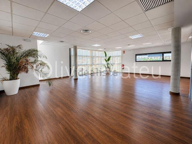 Oficina, Bons Aires, Palma de Mallorca