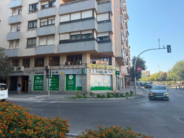 Oficina, Campoamor, Alicante / Alacant