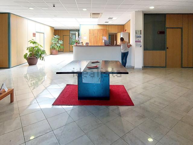 Oficina, Candelaria