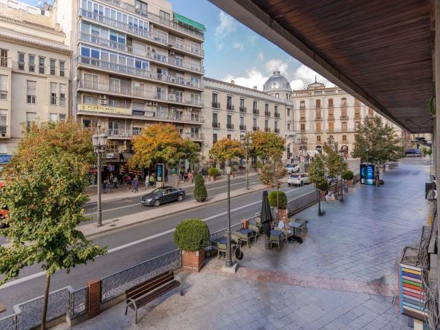 Oficina, Carrera de la Virgen Paseo del Salón, Granada