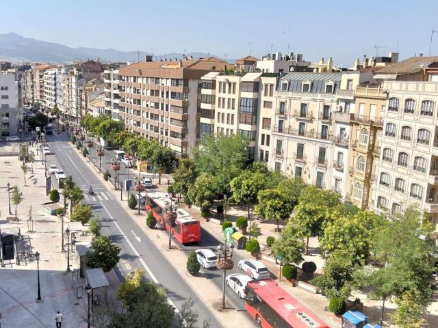 Oficina, Carrera de la Virgen Paseo del Salón, Granada