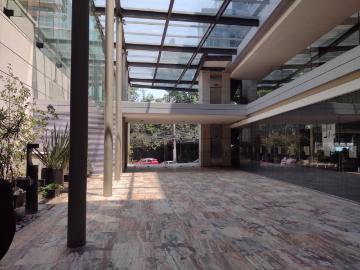 Oficina con terraza en Palmas, Lomas de Chapultepec