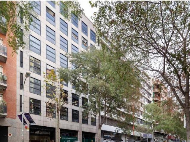 Oficina de lujo de 453 mq en alquiler Barcelona, España