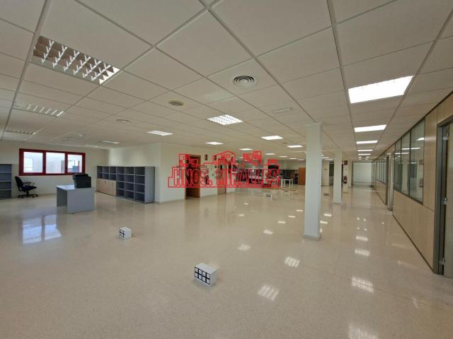 Oficina, Elche / Elx