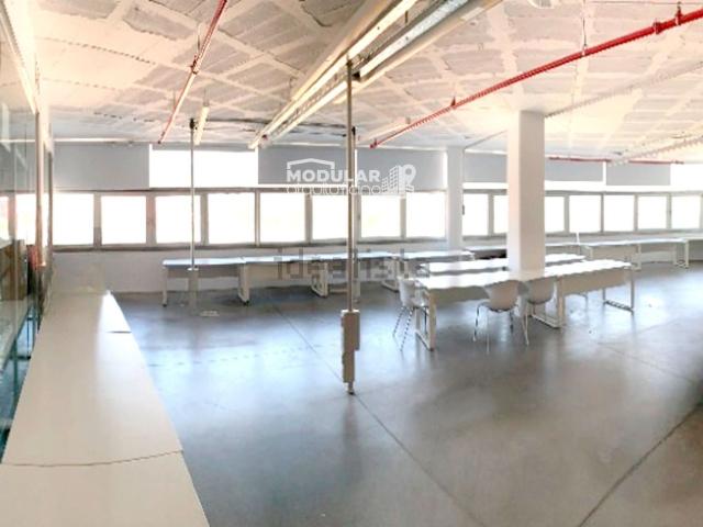 Oficina, Elche / Elx