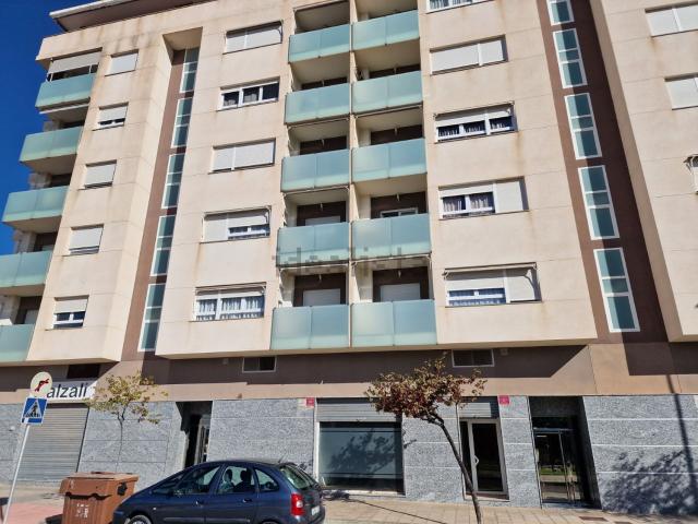 Oficina, Elda