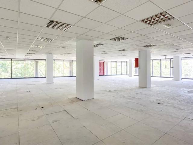 Oficina en alquiler en Madrid