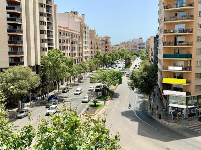 Oficina en alquiler en Mallorca, Arxiduc