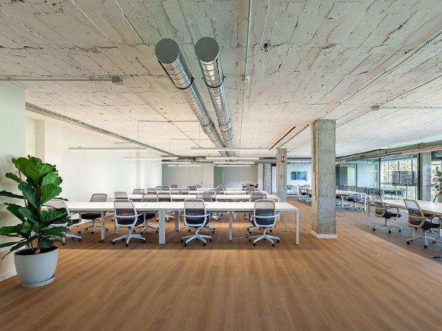Oficina en alquiler en avenida Diagonal, Barcelona, de 634 m² por 19.900
