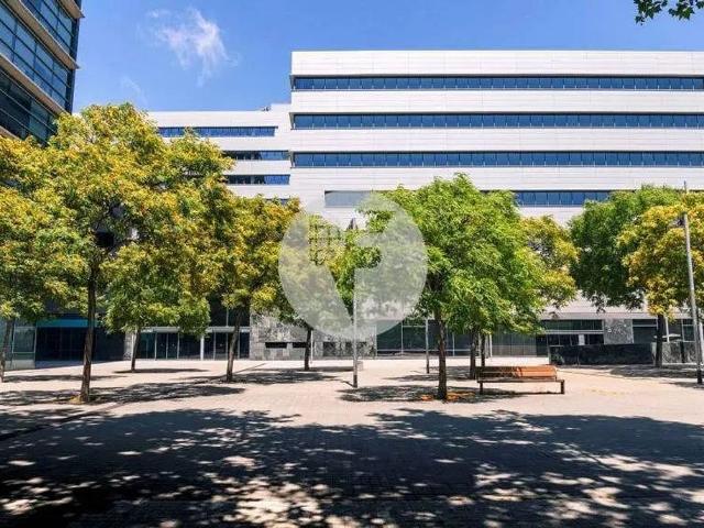 Oficina en alquiler en calle De Bac de Roda, Barcelona, de 301 m² por 5.418