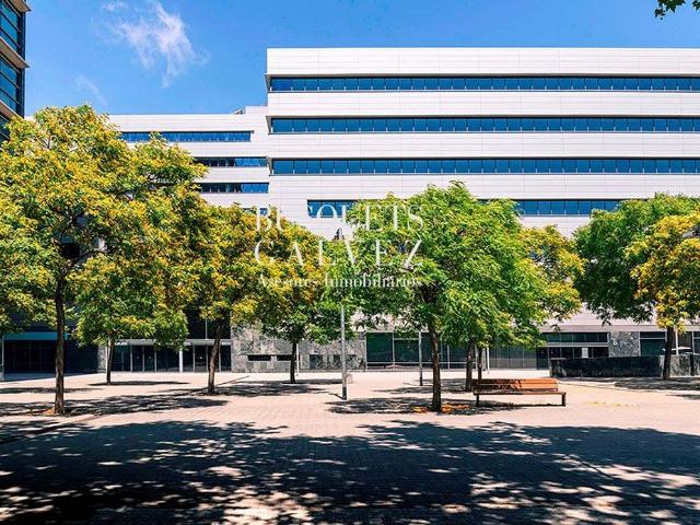 Oficina en alquiler en calle De Bac de Roda, Barcelona, de 301 m² por 5.418