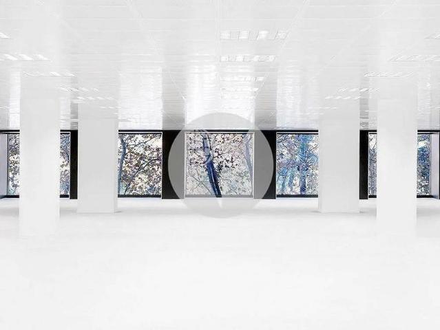 Oficina en alquiler en calle De Joan Güell, Barcelona, de 496 m² por 14.384