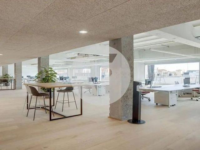 Oficina en alquiler en calle De Lepant, Barcelona, de 1.875 m² por 26.260