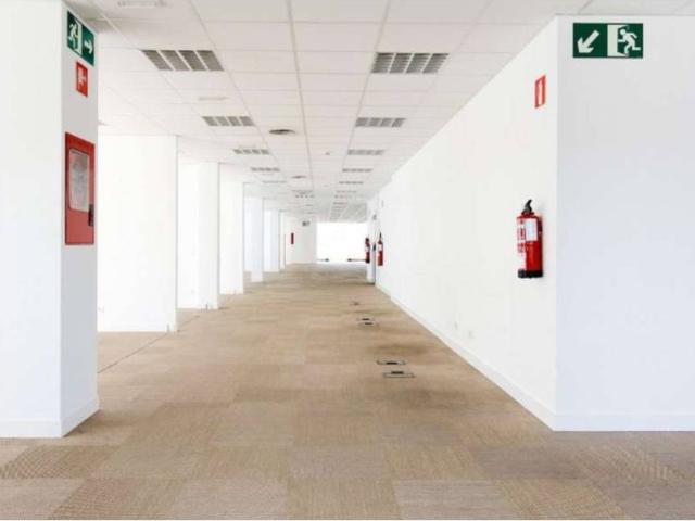 Oficina en alquiler en El Plantío