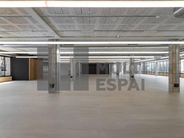 Oficina en Alquiler en La Maternitat i Sant Ramon