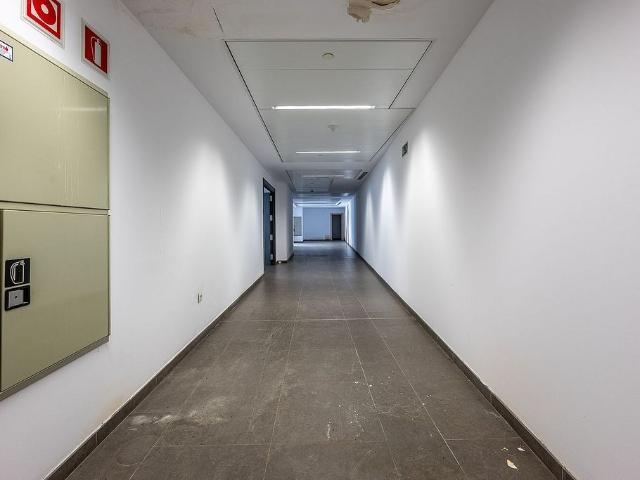 Oficina en alquiler en paseo De la Bonanova, Barcelona, de 3.732 m² por 39.845