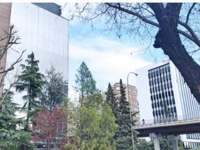 Oficina en alquiler en Paseo de la castellana