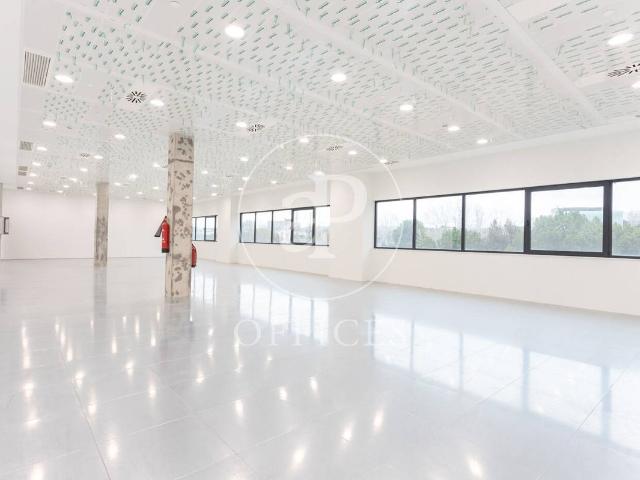 Oficina en Alquiler en Turó de Can Mates