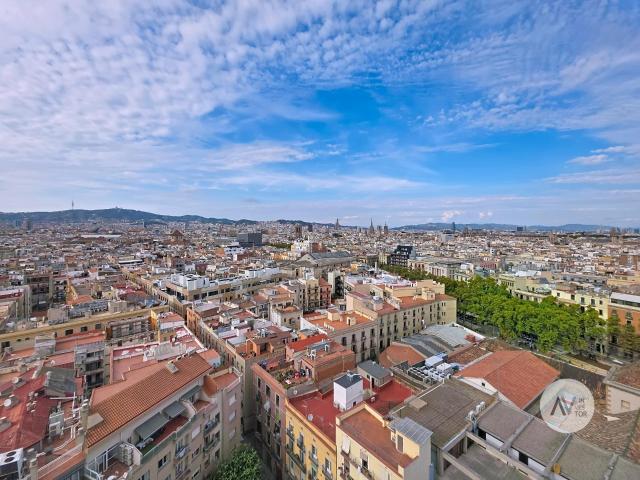 Oficina en alquiler – 320 m2 en planta alta del Edificio Colón, Barcelona