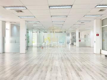 Oficina en Arriendo en Bellavista Paso Hondo