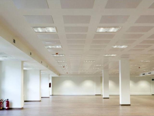 Oficina en Goya