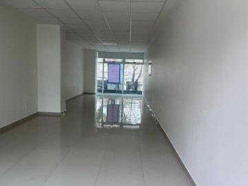 Oficina en renta en division del norte